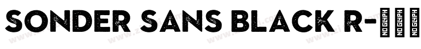 Sonder Sans Black R字体转换